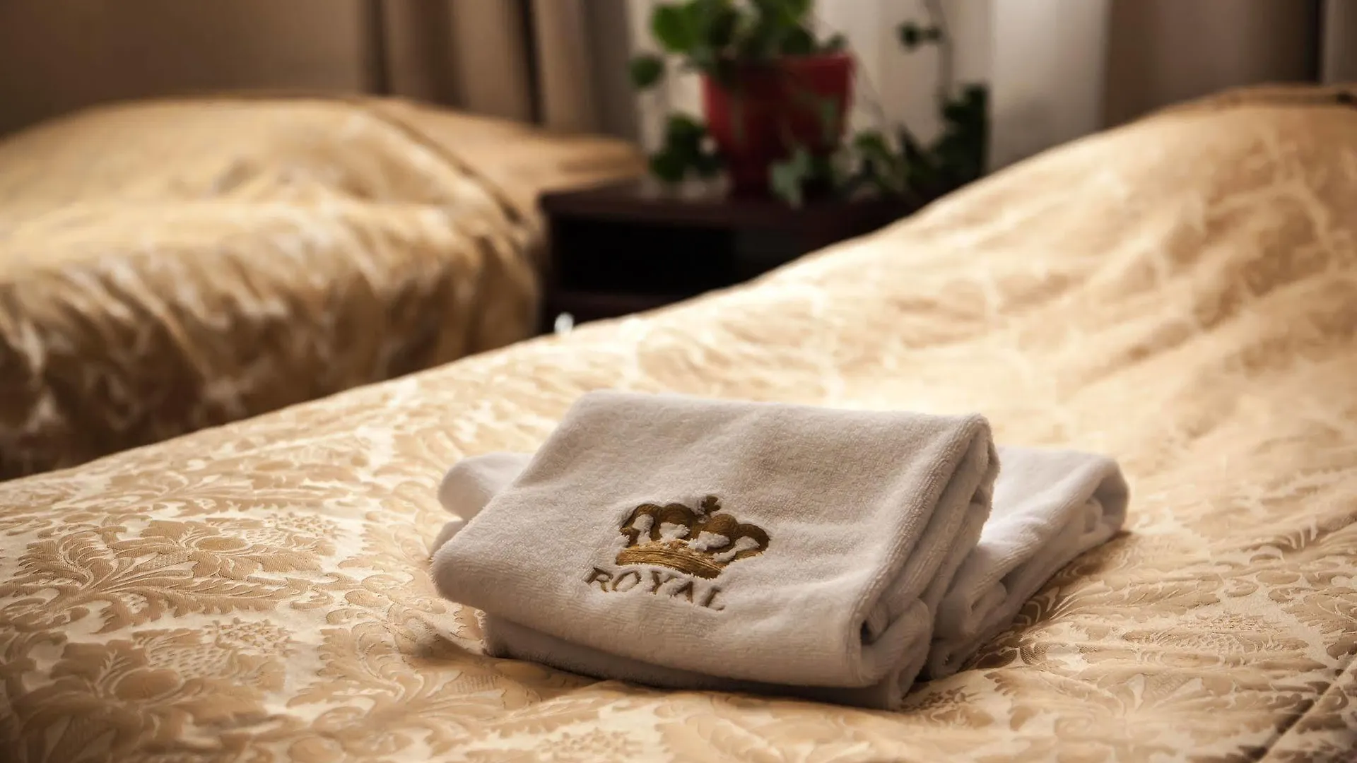 Royal Hotel Modlin Nowy Dwor Mazowiecki